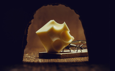 Of rats and men: would member compensation imperil CCPs? 